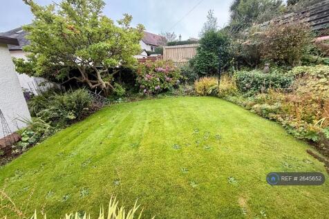 Back Garden
