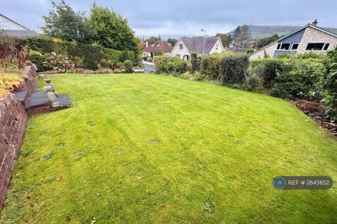 Back Garden