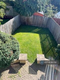Back Garden 