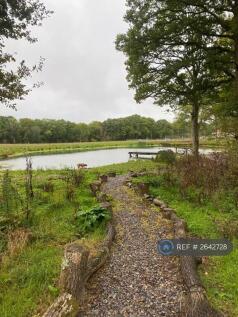 Estate Lake