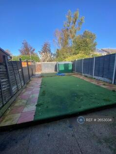 Back Garden 