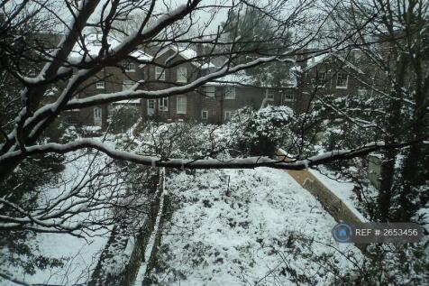 View From Second Bedroom