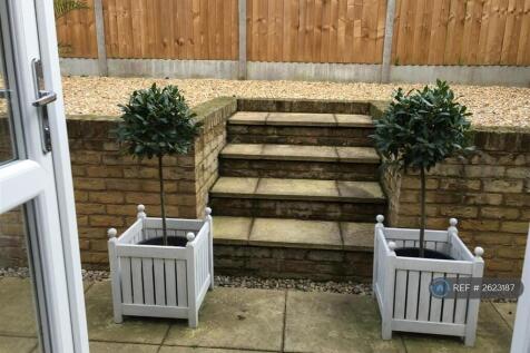 Back Patio Area