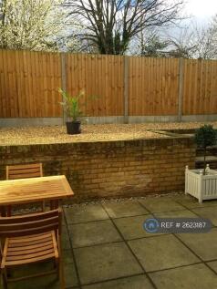 Back Patio Area