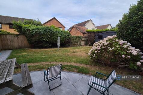Patio Area 