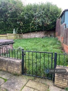 Back Garden