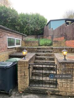 Back Garden