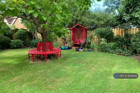 Back Garden