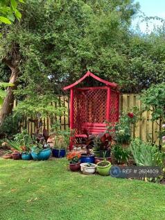 Back Garden
