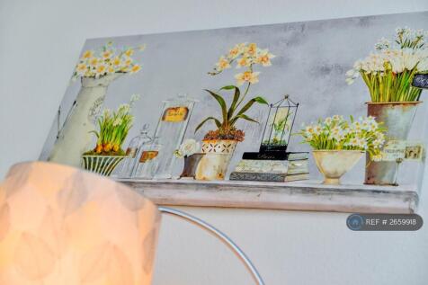 Neutral Decor