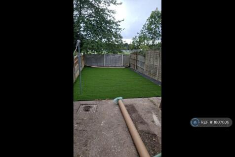 Garden In Progress