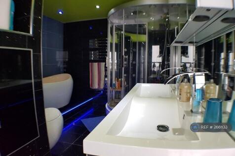State-Of-The-Art Designer Bathroom