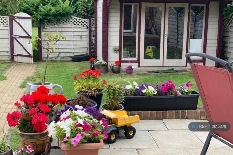 Back Garden