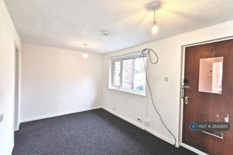 Living / Bedroom Area