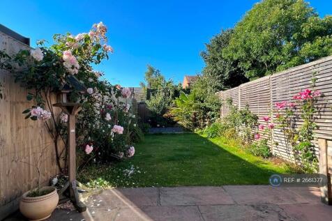 Garden 1