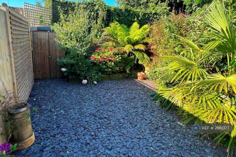 Garden 3