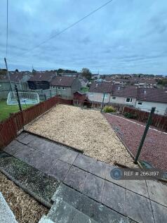 Back Garden