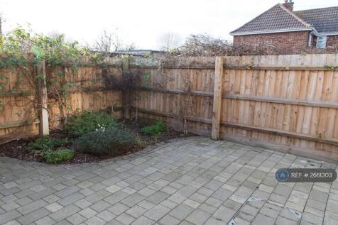 Back Garden