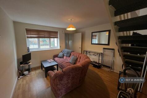 Living Room (Shared)