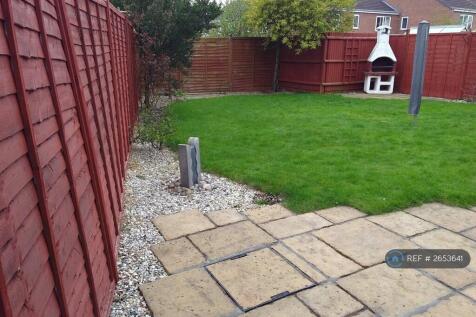 Back Garden