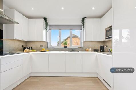 Ultra Modern Kitchen