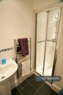 Downstairs Shower Room