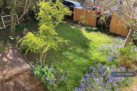 Garden 2