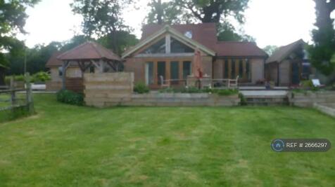 Open Plan Airy House With Lovely Mature Garden