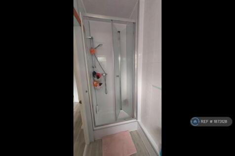 Downstairs Shower 