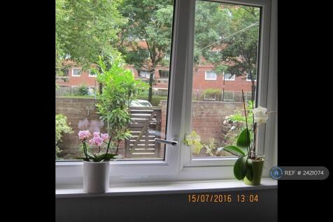 Bright Green Outlook From Every Window