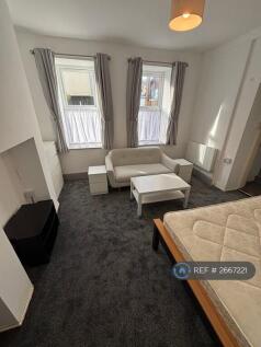 Bedroom/Living Room
