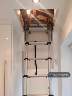 Loft Ladder