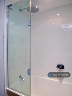 Shower Screen
