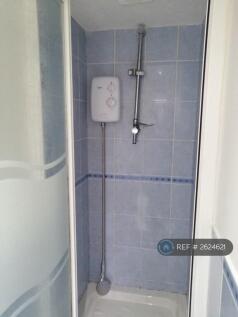 Down Stairs Bathroom- Shower
