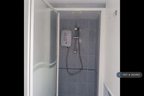 Downstairs Shower