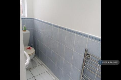 Downstairs Shower/ Bathroom