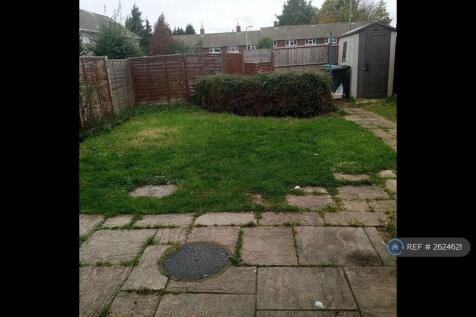 Back Garden