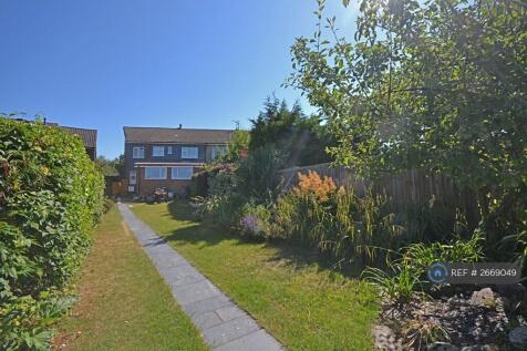 Back Garden