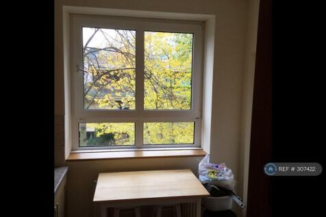 View From The Kitchen