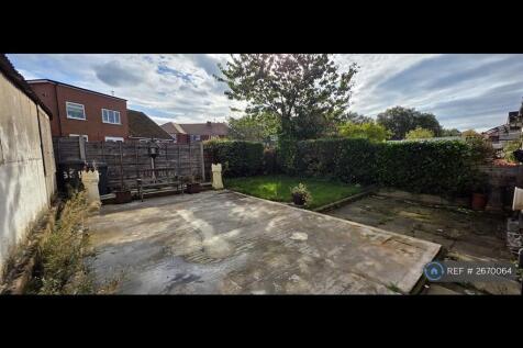Back Garden
