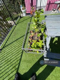 Roof Terrace