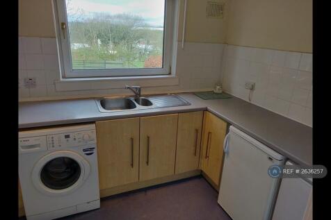 Kitchen - Fridge, Freezer, Storage