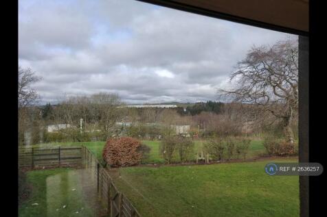 View From Window