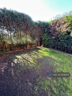 Rear Lawn #1