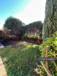 Rear Lawn #2