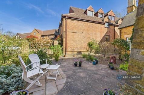 Back Garden