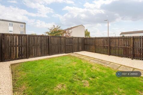 Back Garden 3