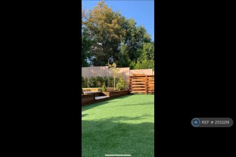 Back Garden