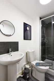 Bathroom Basement