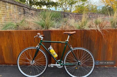 Communal Nidus Bikes